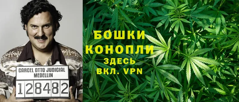 Марихуана Ganja  купить закладку  Котовск 